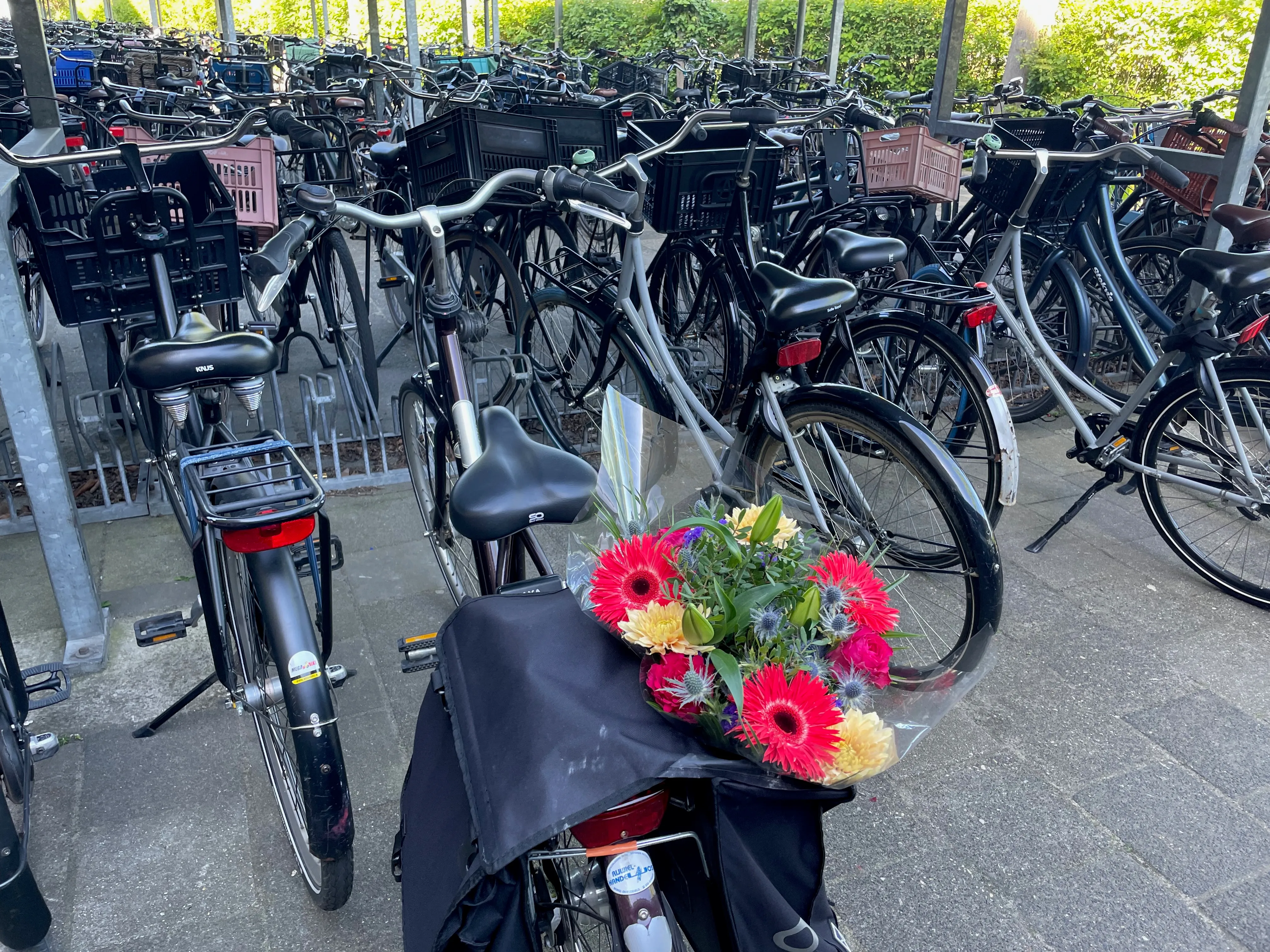 Het fietsplein van een middelbare school met op de voorgrond een fiets met in de fietstas een bos bloemen